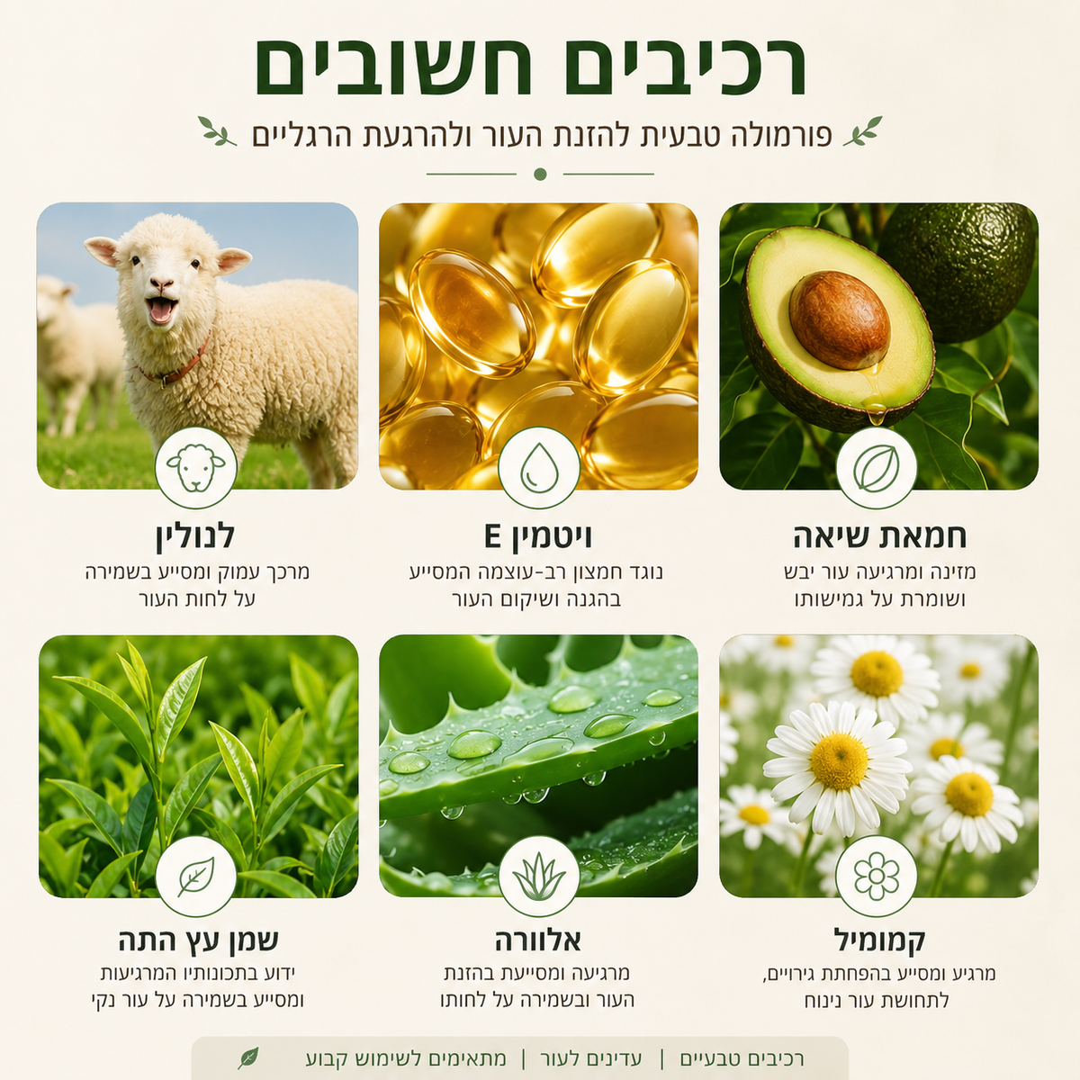תכשיר לחות לעקבים, לקרסוליים ולכפות רגליים יבשות | רול-און למניעת סדקים | מחליק אזורים יבשים בגוף ללא מגע יד | 40 גרם